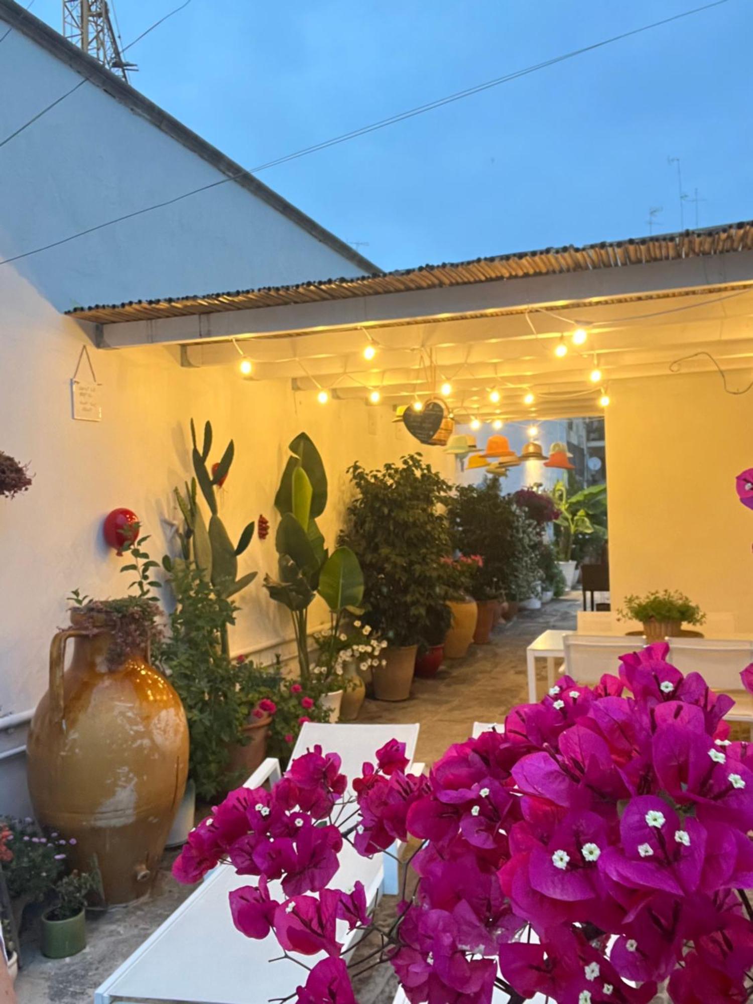 Double Room Terrace,1587617488:JPEG